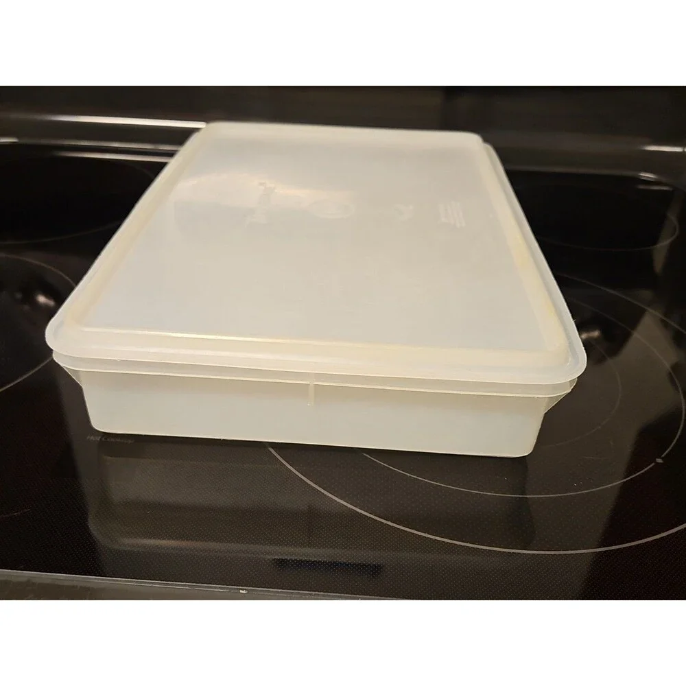 Vintage Tupperware Handolier #290 Sheer Rectangle Keeper With #291 Lid READ